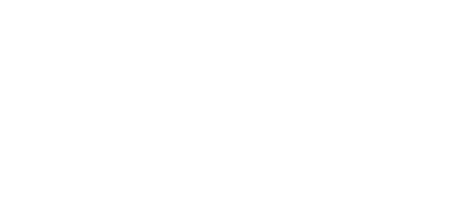 TANZSCHULE DIEL LOGO ONLY WHITE