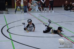 2018_04_21_hh_wdm_net_td2_i_086