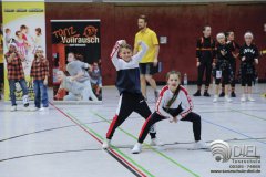 2018_04_21_hh_wdm_net_td2_i_089