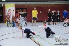2018_04_21_hh_wdm_net_td2_i_090