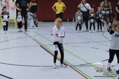 2018_04_21_hh_wdm_net_td2_i_154