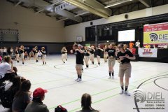2018_04_21_hh_wdm_net_td2_i_263