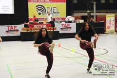 2018_04_21_hh_wdm_net_td_i_078