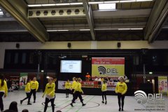 2018_04_21_hh_wdm_net_tsd_01_i_110