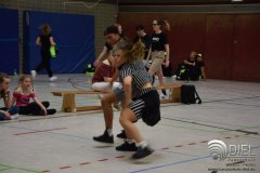 2018_04_21_hh_wdm_net_tsd_01_i_231