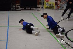 2018_04_21_hh_wdm_net_tsd_01_i_263