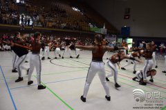 2018_04_21_hh_wdm_net_tsd_01_i_336