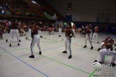 2018_04_21_hh_wdm_net_tsd_01_i_337