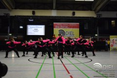 2018_04_21_hh_wdm_net_tsd_03_b260