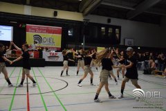 2018_04_21_hh_wdm_net_tsd_04_l_b255