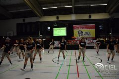 2018_04_21_hh_wdm_net_tsd_04_l_b275